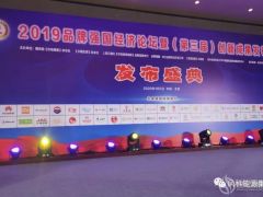 風科能源“風科Fincke?340”風電專用灌漿料品牌 榮獲2019品牌強國經濟論壇暨(第三屆)創新成果發布活動大獎